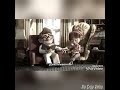 سرحت فيك حالات واتس
