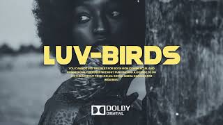 Victony x Omah Lay x BNXN Afrobeat Type Beat 2024 - LUV BIRDS
