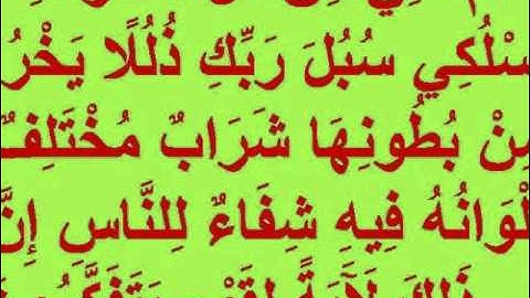 ROQIA ROKIA   الشيخ محمد الطبلاوي  الرقيه المجوده  بآيات الشفاء  35 دقيقه