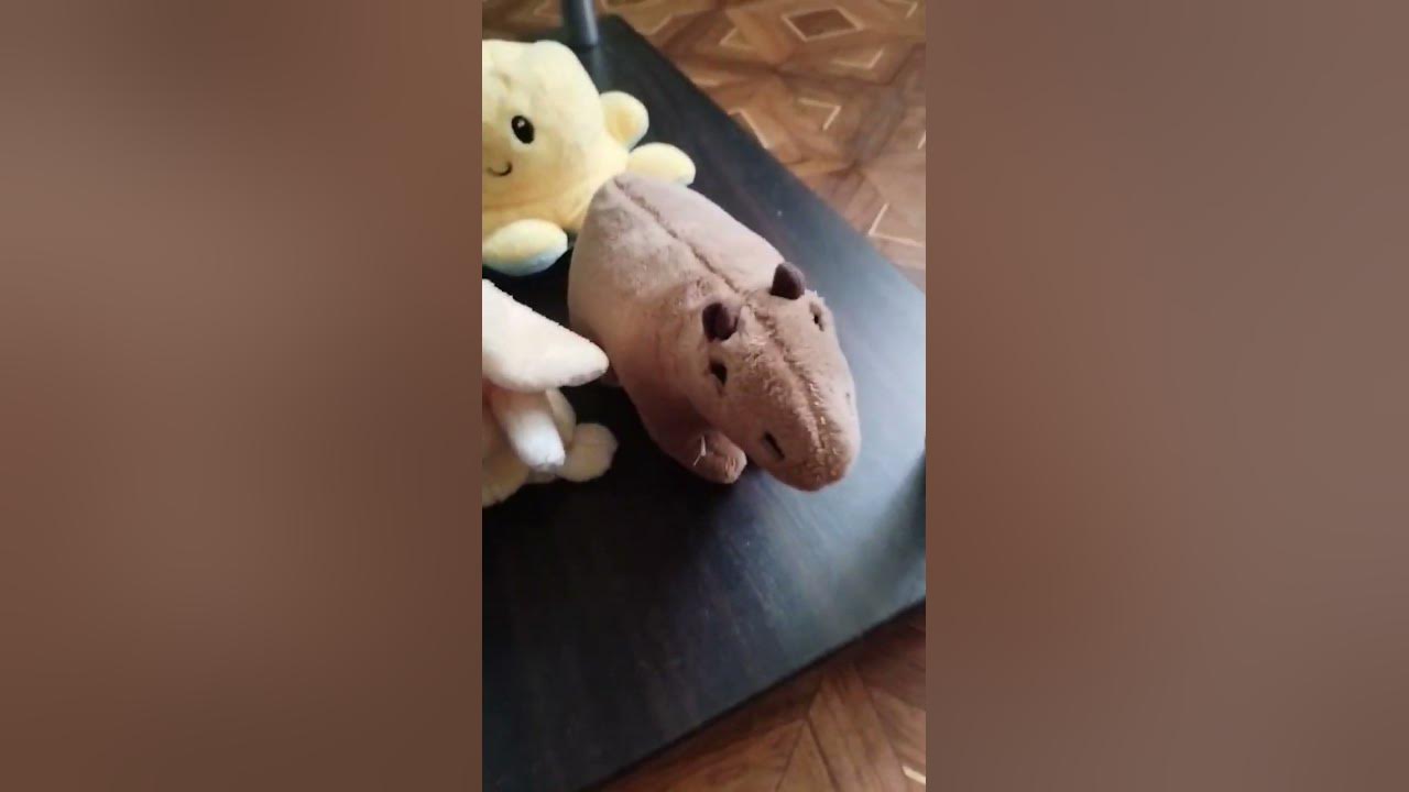 капібара та його друзі - YouTube