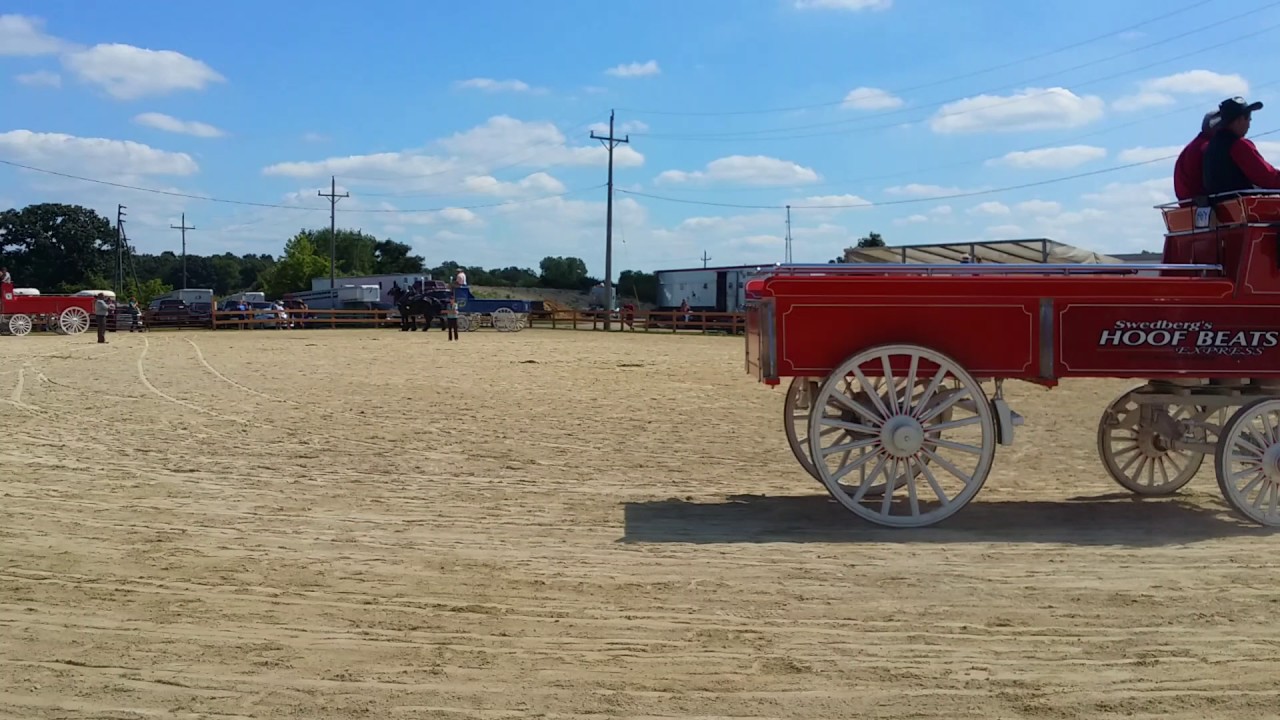 Walworth county fair horses YouTube