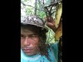 panal de abejas
