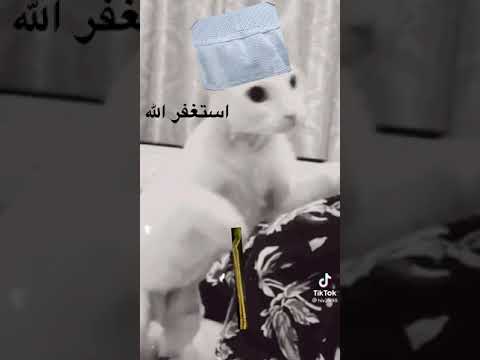 ههههههه خدي علي وشك 