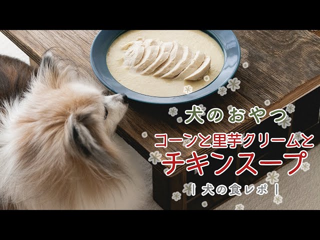 冷凍野菜と鶏むね肉で犬用クリスマススープ作り 手作り犬おやつ 犬ごはん先生 いちかわあやこ オフィシャルブログ Powered By Ameba 冷凍野菜と鶏むね肉で犬用クリスマススープ作り 手作り犬おやつ 犬ごはん先生 いちかわあやこ オフィシャルブログ Powered By Ameba