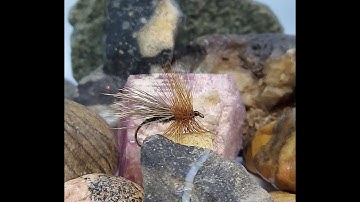 Rangeley Fly Shop