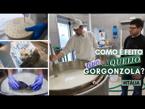 How the blue cheese is made in Gorgonzola, Italy! [LEGEND | T13 E18]