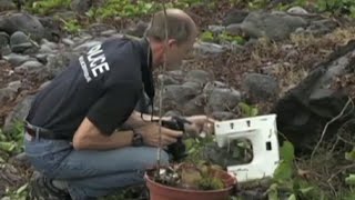 Mh370 Debris Found Almost Certainly From Missing Plane, Officials Say