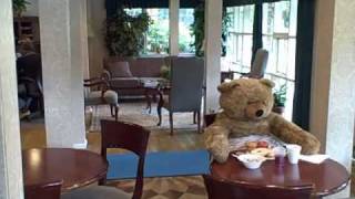 Eddie Visits Best Western Woodbury Inn.mp4