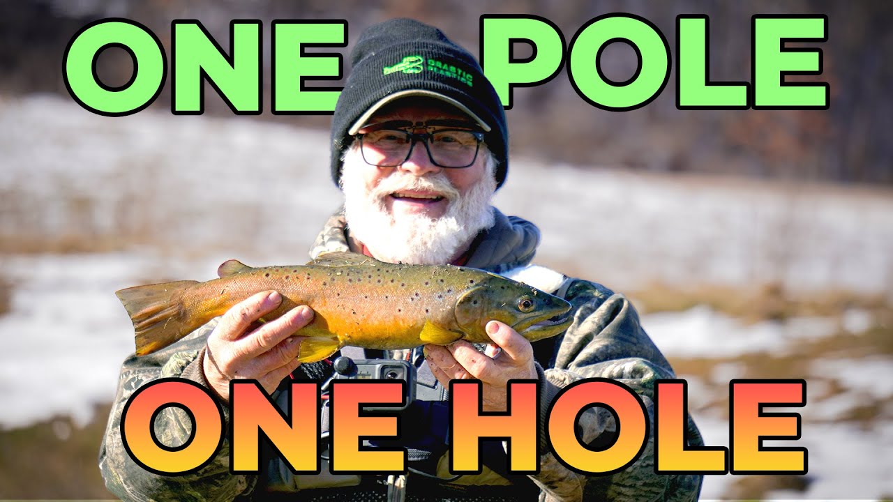 ONE POLE ONE HOLE  BROWN TROUT 