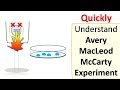 Avery MacLeod McCarty experiment