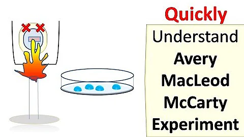 Avery MacLeod McCarty experiment