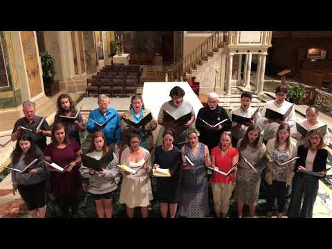 Salvator Mundi (Palestrina) - Schola Cantorum St Matthew’s Cathedral