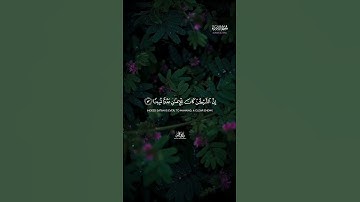 🌙 من سورة الإسراء | تلاوة خيالية | بصوت القارئ طارق محمد