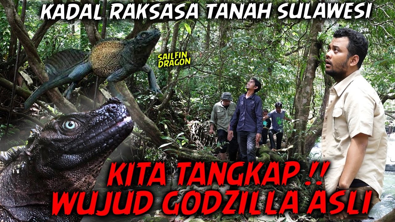 INILAH GODZILLA DUNIA NYATA ADA DI INDONESIA GIGINYA TAJEM !!