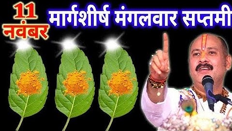 11 नवंबर मार्गशीर्ष मंगलवार सप्तमी तिथि को 5 तुलसी के पत्ते वाला उपाय जरुर करे || Pradeep Ji Mishra