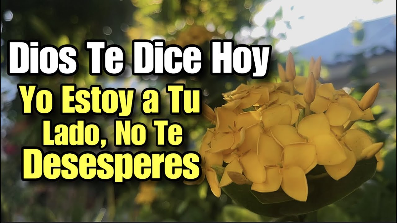 Dios te dice hoy Yo estoy a tu lado no te desesperes - YouTube