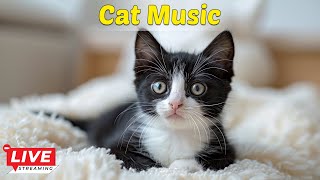 Favorite cat music with cat purring sounds  12 hours of stressrelieving music for cats