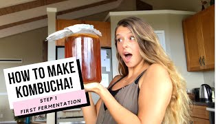 HOW TO MAKE KOMBUCHA! -Step 1! (First Fermentation) Profile
