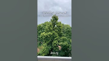 تلاوة خاشعة..ياسر الدوسري.. #quran #اكسبلور #قران_كريم #ياسر_الدوسري #قرآن