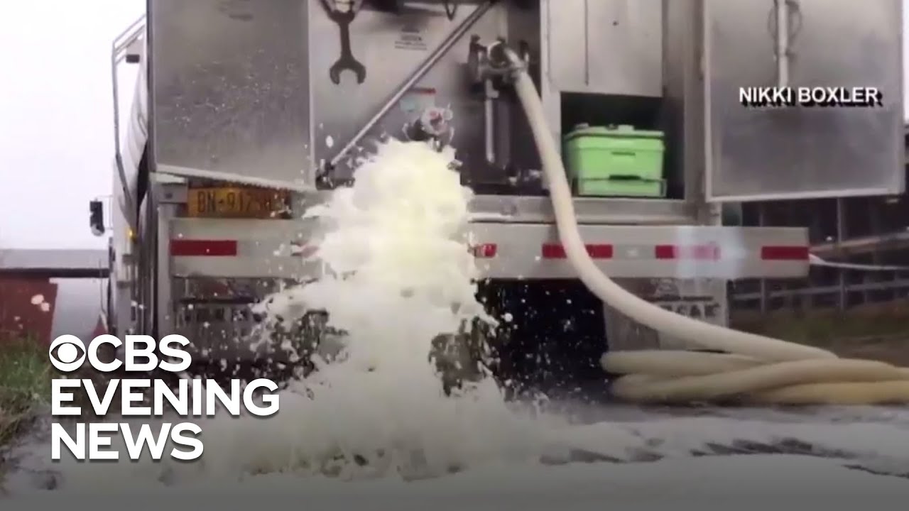 Dairy producers donate surplus products to food banks