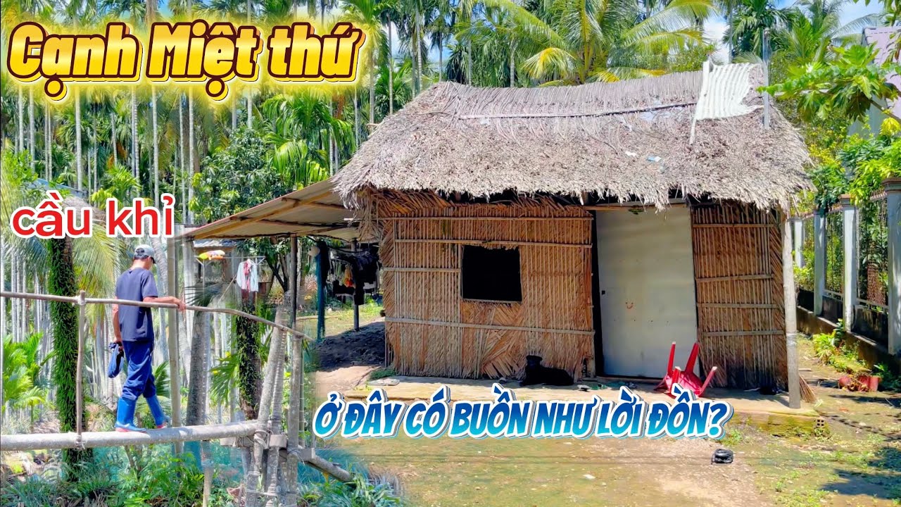 LẠC VÀO ấp AN THÀNH bà con xứ cạnh miệt thứ cặp sông CÁI LỚN mưu sinh bằng nghề gì