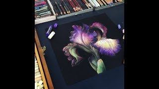 Мастер-класс по пастельной живописи «Ирис» | Как нарисовать цветок ирис поэтапно