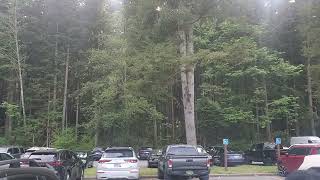 Golden Ears Provincial Park - Alloute Lake View Maple Ridge BC 🇨🇦 🍁 🇨🇦 Canada