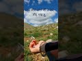 अपना साया भी हमसे अनजान हुआ है. #amitchakrabarti#musiclovers #beautifulsong #shortvideo #lovesong