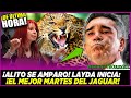 EN VIVO: LAYDA INICIA EL MEJOR MARTES DEL JAGUAR! ALITO SE AMPARO PERO LA GOBERNADORA NO SE RAJA!