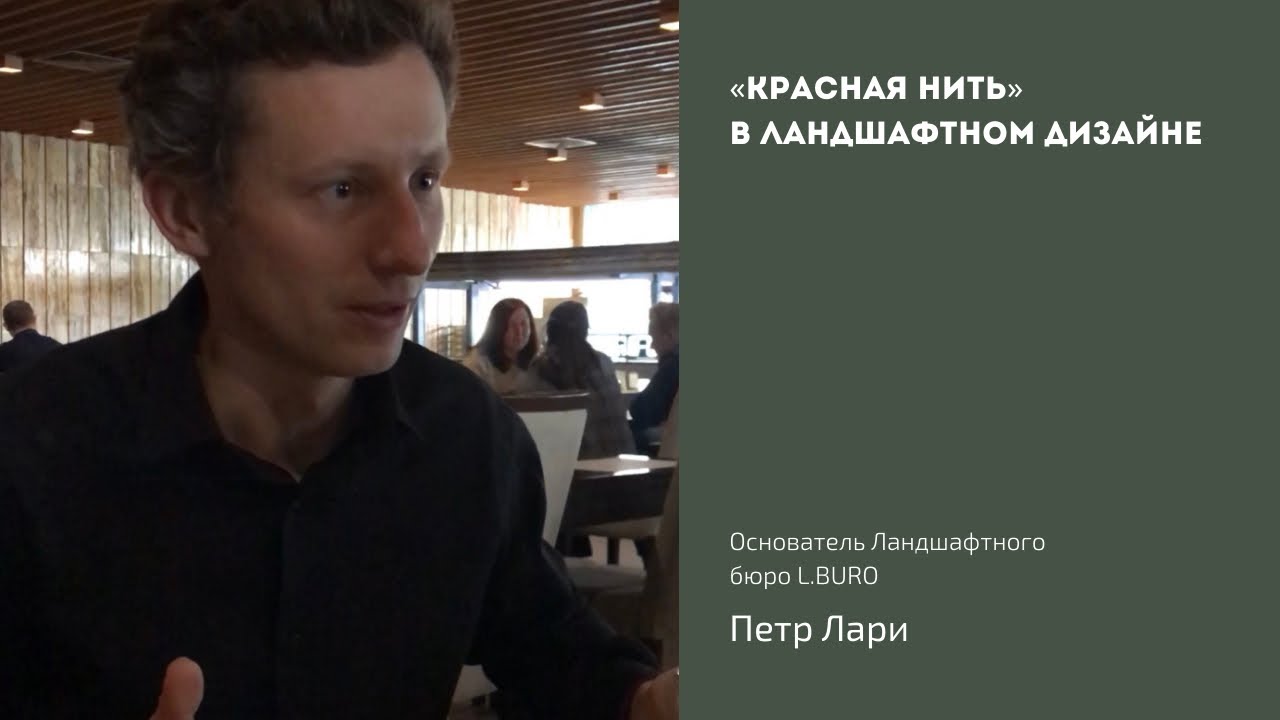 Петр лари проекты