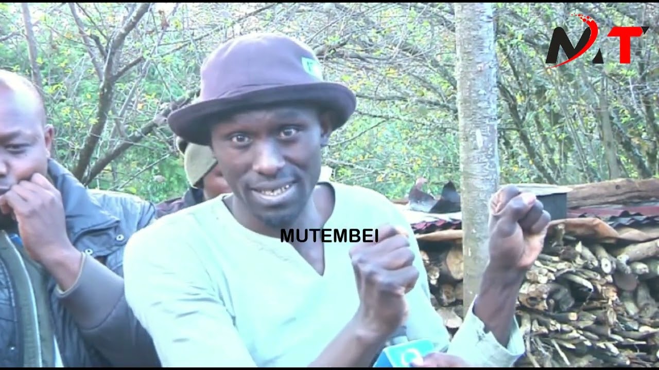 BREAKING NEWS:DCI RAIDS KURESOI NORTH CONSTITUENCY INVESTING CLAIMS BY MP WHO REPORTED ENEMIES ATACK