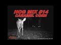 HOG MIX #14- CARAMEL CORN