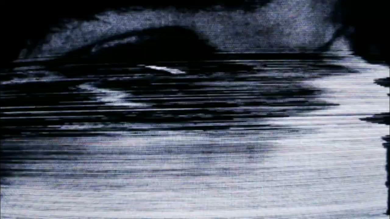 the-cocaine-is-not-good-for-you-crystal-castles-sped-up