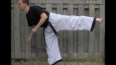 Taekwondo: Hapkido: Foundations: Blind side kick - side view
