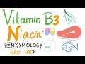 Vitamin B3 (Niacin) Enzymology [NAD and NADP]