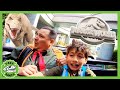 Universal Studios Jurassic World VLOG Fun Rides and Dinos! | T Rex Ranch | Explore With Me!