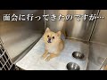 【経過報告】手術後、初めて面会に行ってきたのですが…