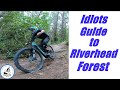 Idiots Guide to Mountain biking in Riverhead Forest