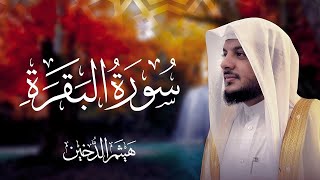 سورة البقرة كاملة بصوت الشيخ هيثم الدخين - Surat Al-Baqarah Haitham Aldokhin