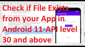 How to check if a file exists (in download folder) from your App? - API level 30/ Android 11 & above