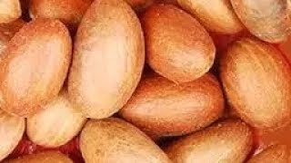 Bitter Kola  (Garcinia Kola) good Panacea with  amazing Benefits to Your Health. Watch this!