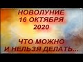 НОВОЛУНИЕ 16 ОКТЯБРЯ 2020. ЧТО МОЖНО И НЕЛЬЗЯ ДЕЛАТЬ.советы астрологов