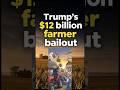 Trump's $12 billion bailout isn't saving farmers #shorts #economy