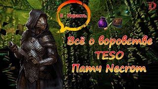:     TESO