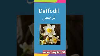 تعرف على أسماء الأزهار بالإنجليزية 🌺🌺flowers