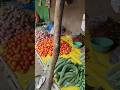 #shortvideo #youtubeshorts #youtubeshorts #trending #minivlog #shorts