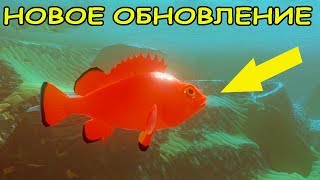 НОВОЕ ОБНОВЛЕНИЕ НОВАЯ RED FISH В ИГРЕ Feed and Grow Fish