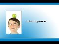 PSY101 -  Intelligence