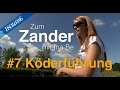 Zum Zander mit Ina Be: #7 Köderführung