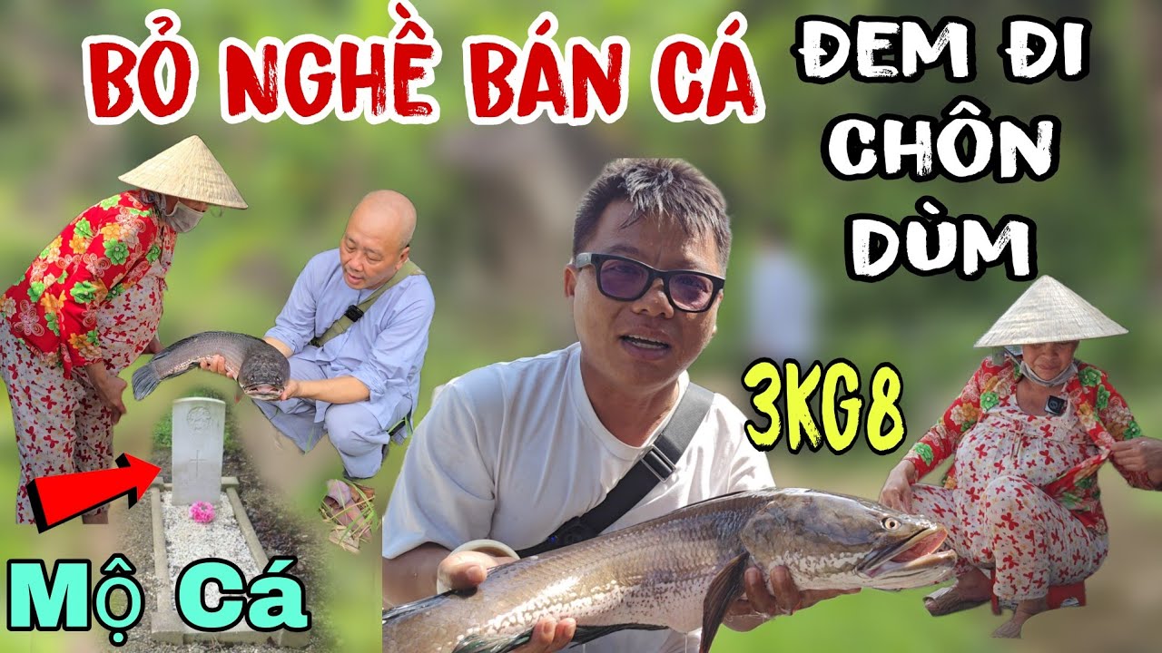 Chuyện lạ Cô gái có bầu gặp Điềm lạ 👉 bỏ nghề bán cá ( Thiện Nghĩa đem đi chôn dùm | Châu Phú Area